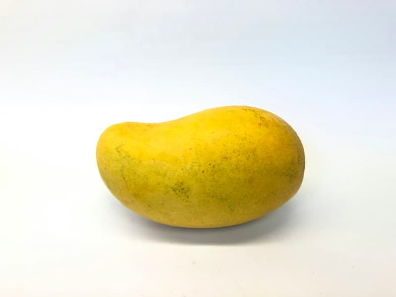 A single ripe yellow mango on a white background